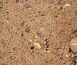 фото ПГС песчано гравийная смесь
