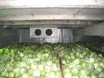 фото Холодильные камеры, склады для фруктов и овощей.
