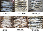 фото Рыба вяленая, рыба сушеная, сушёные морепродукты,  сушеное, вяленое мясо, орехи, весовые снеки, закуски к пиву Слайсы (чипсы) из кеты