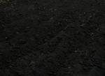 фото Чернозём плодородный Глина Грунт