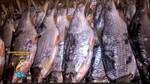 фото Рыба вяленая Сорожка по цене 350 руб./кг.