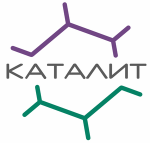 фото Каталит