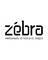 Лого Zebra видеостудия