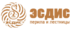 Лого ЭСДИС