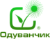 Лого Одуванчик