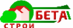 Лого Бета Строй Кострома