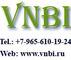 Лого VNBI