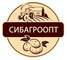 Лого СибАгроОпт