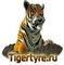 Лого Тигр