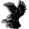 Лого Охранное агентство Беркут