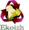 Лого Eko18