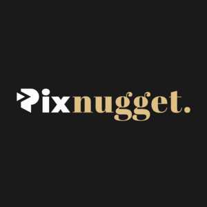 Лого Pixnugget