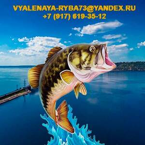 Лого Vyalenaya-Ryba73