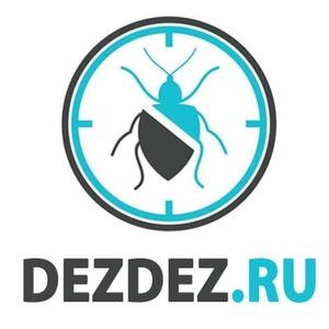 фото DezDez ru Пермь
