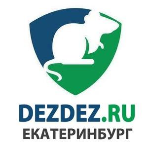 фото "ДезДез" Екатеринбург