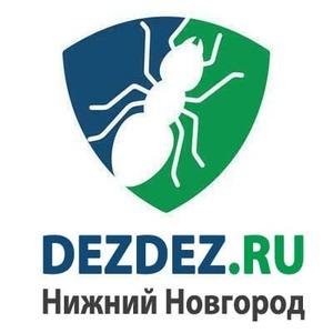 фото "ДезДез" Нижний Новгород