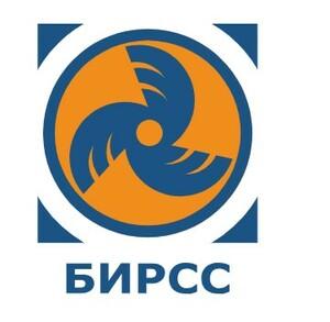 фото БИРСС-Д