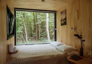 фото Терруа хом