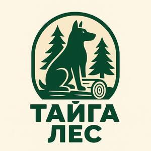 фото Тайга Лес