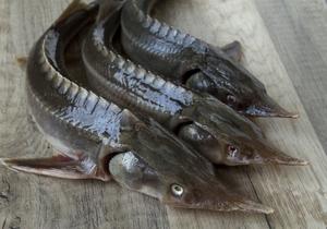 фото Свято Богородичный Казанский мужской монастырь