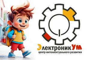 фото Электроникум